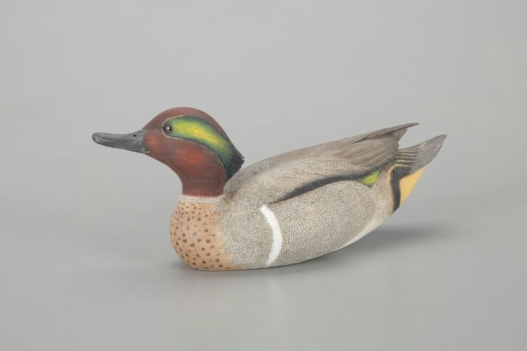 Leo McIntosh – Green-Winged Teal Drake – 2023