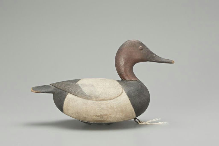 Mark McNair – Canvasback Drake – 2018