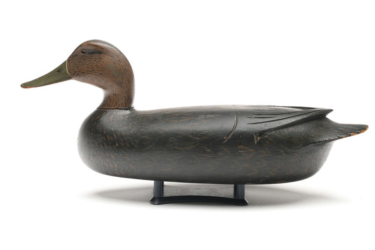 Robert Freirich — Black Duck