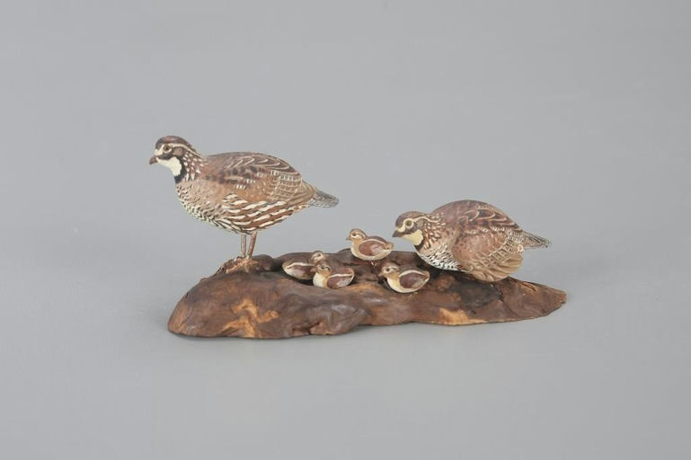 Allen J. King – Miniature Quail Family – 2023