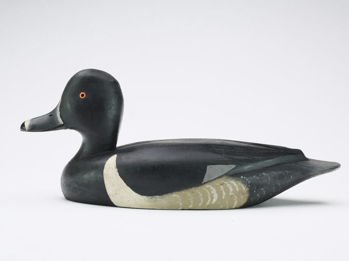 David W. Nichol – Ringneck – 2024