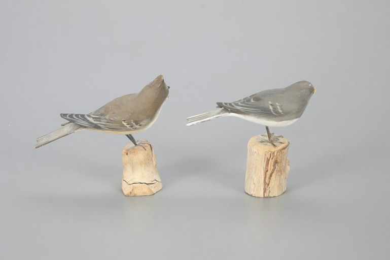 Peter Peltz – Junco and Tufted Titmouse – 2023
