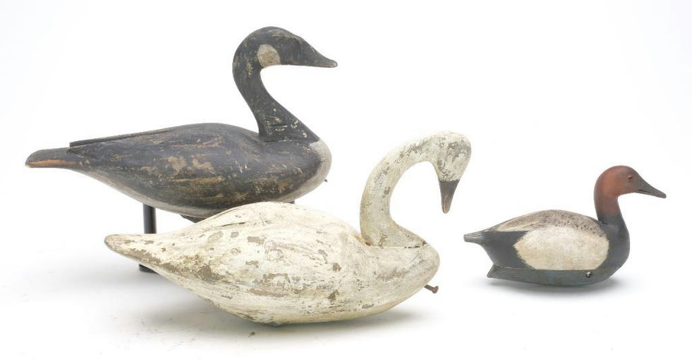 Reggie Birch – Canvasback – 2023