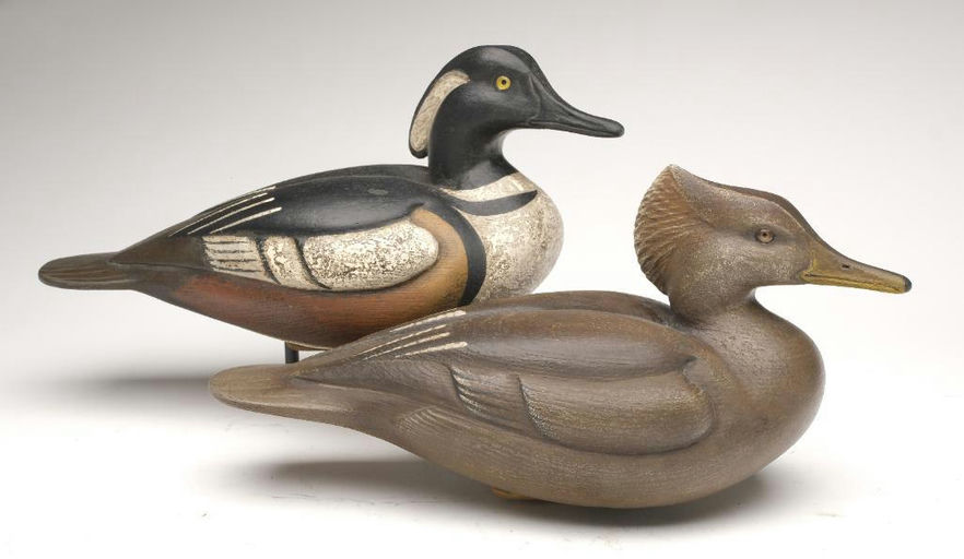 Tom Matus – Pair of Hooded Merganser – 2023