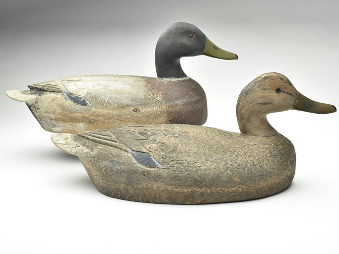 Ben Schmidt – Pair of Mallard – 2023