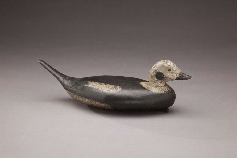 John English – Old Squaw Drake – 2011