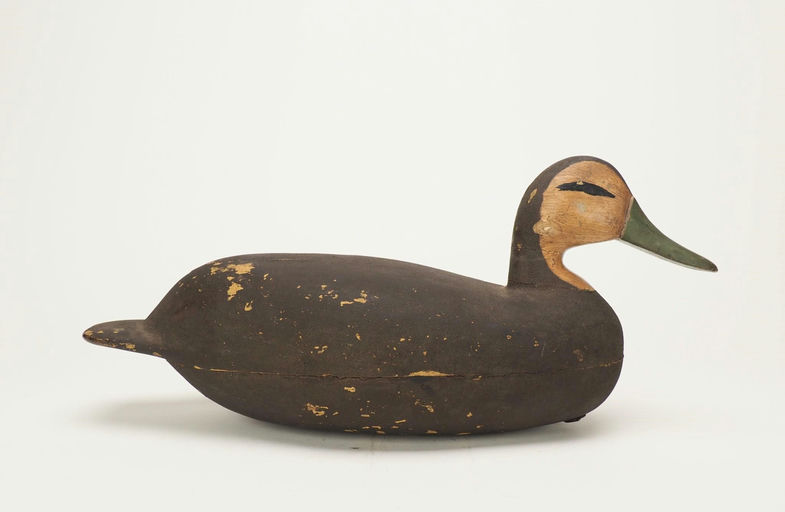 John Updyke — Black Duck