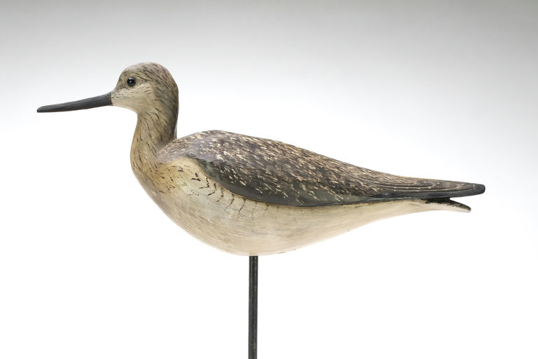 Bill Gibian – Yellowlegs – 2025
