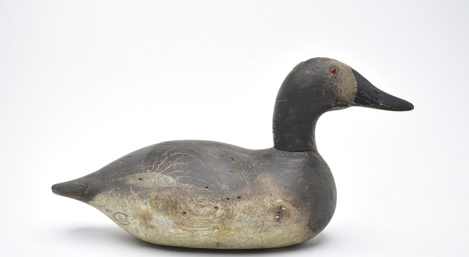 Mason Decoy Factory – Canvasback Hen – 2025