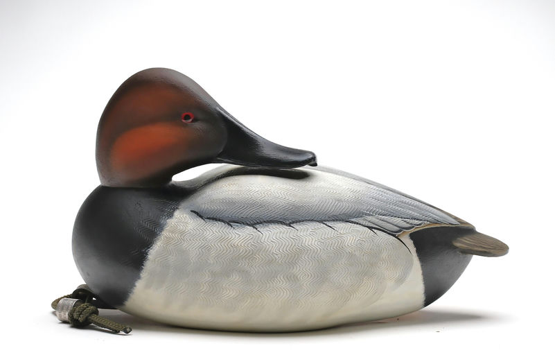 Ben A. Heinemann – Canvasback – 2025