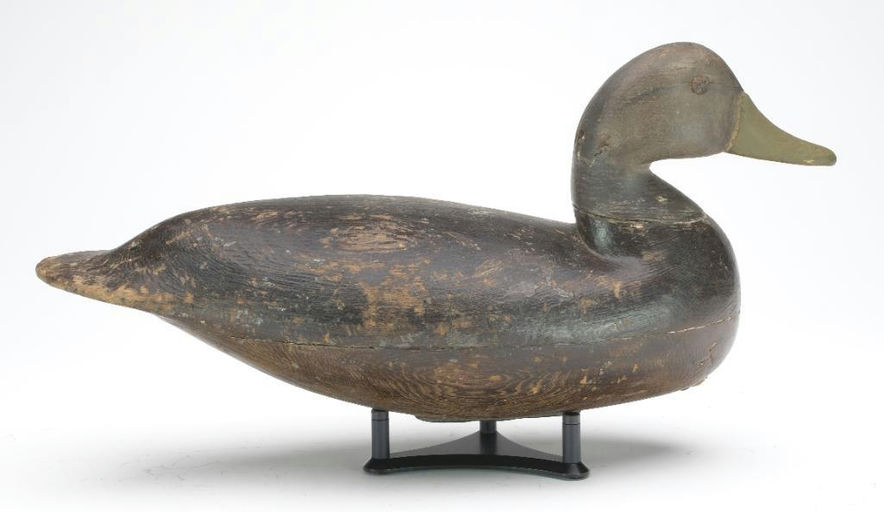 Charles Birch – Black Duck – 2023