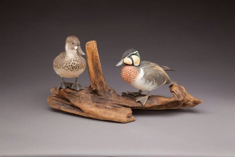 William J. Koelpin – Decorative Baikal Teal – 2013