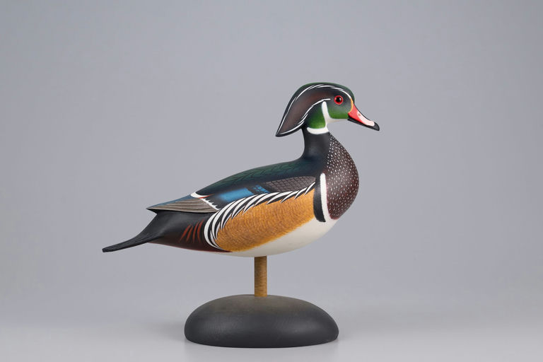 Rick Brown – Standing Wood Duck – 2026