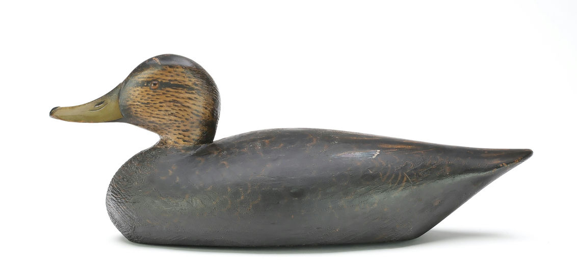 Elmer Crowell – Black Duck – 2025