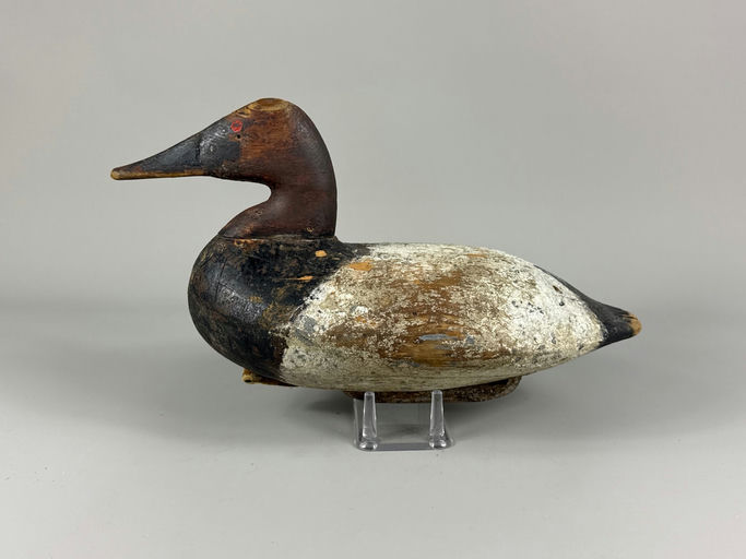 John Graham – Canvasback – 2026