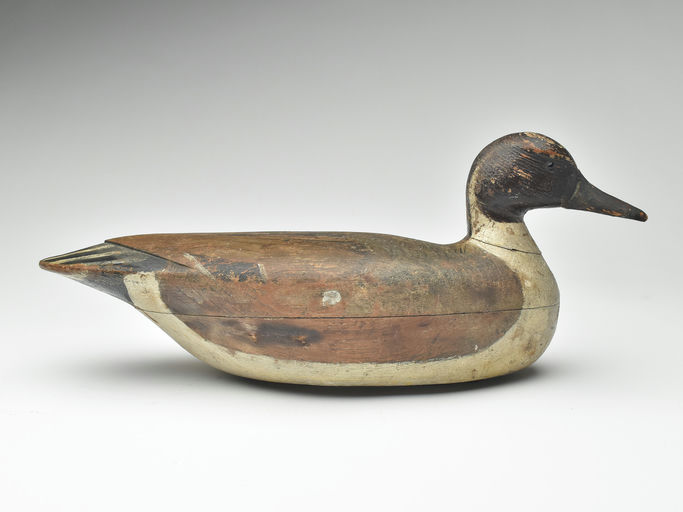 Dave "Umbrella" Watson – Pintail – 2023