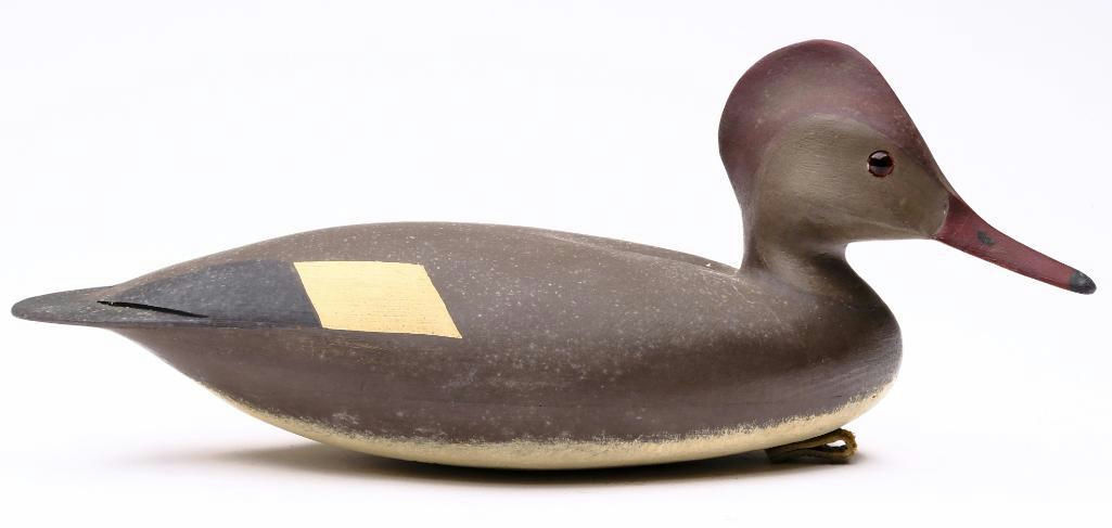 Hurley Conklin – Hooded Merganser Hen – 2023