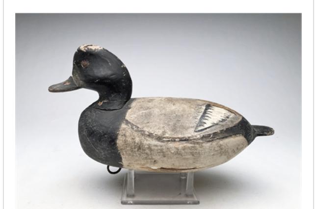 Mark McNair – Bluebill – 2021