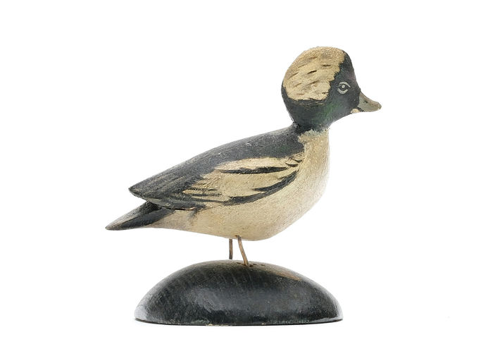 Elmer Crowell – Miniature Bufflehead – 2025