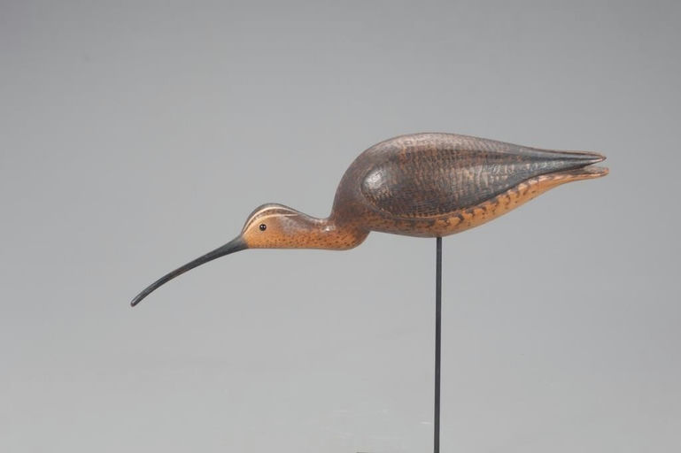 Mark McNair – Early Reaching Curlew – 2021