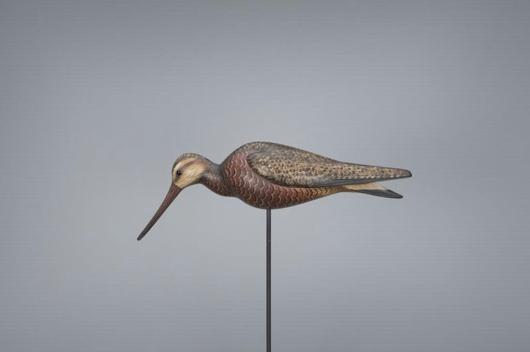 Bill Gibian – Feeding Godwit – 2017