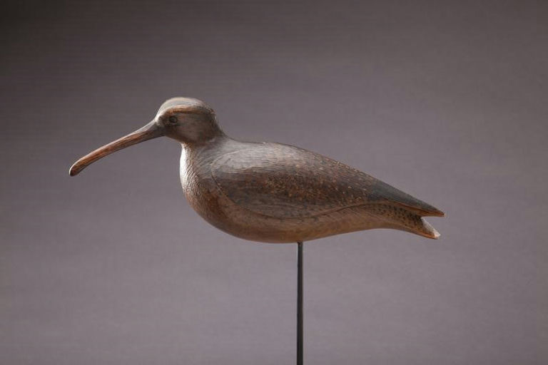 Mark McNair – Tucked-Head Curlew – 2012