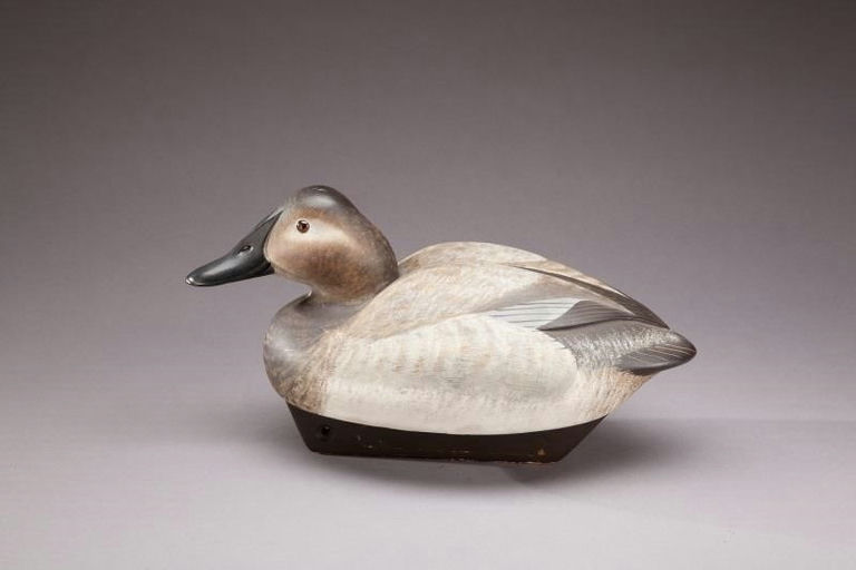 William Schultz – Canvasback Hen – 2013