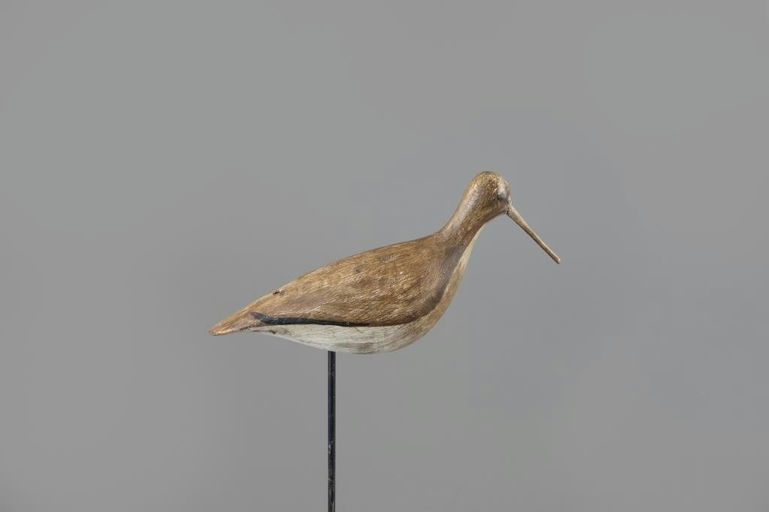 Cooper Predmore – Rare Pectoral Sandpiper – 2025