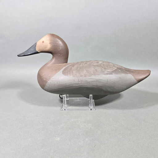 R. Madison Mitchell – Canvasback – 2026
