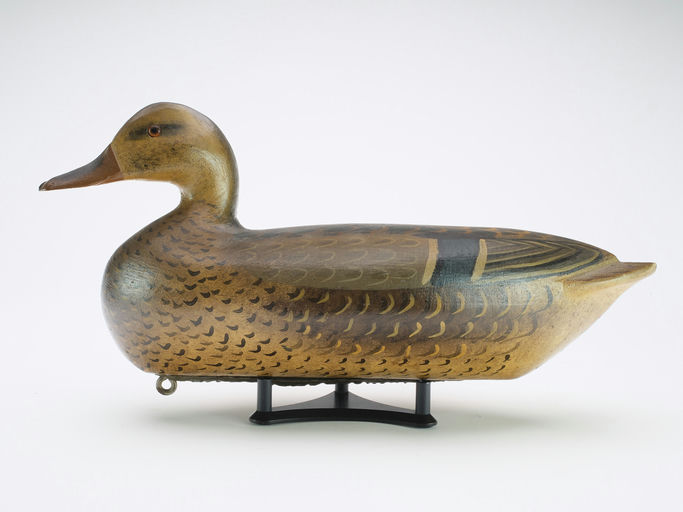 Charles Perdew – Mallard Hen – 2024