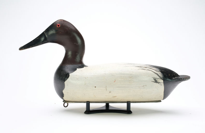 Bert Graves – Canvasback – 2025