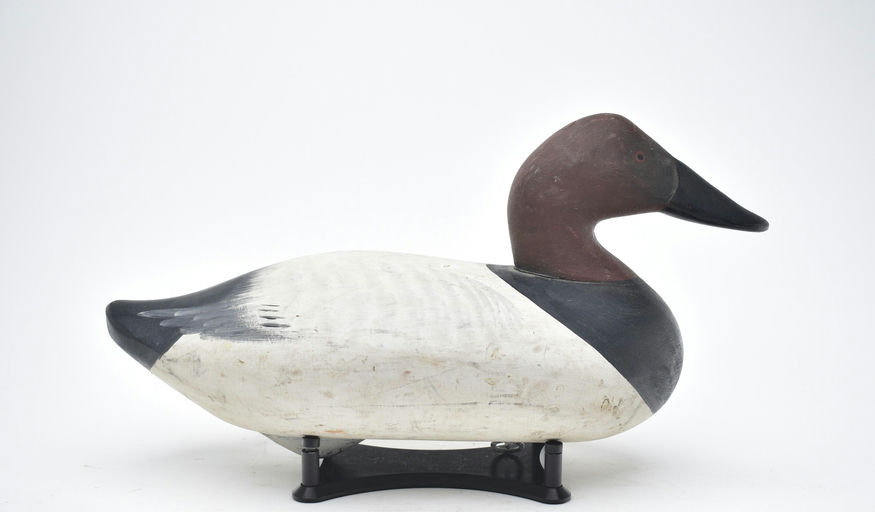 R. Madison Mitchell – Canvasback Drake – 2026