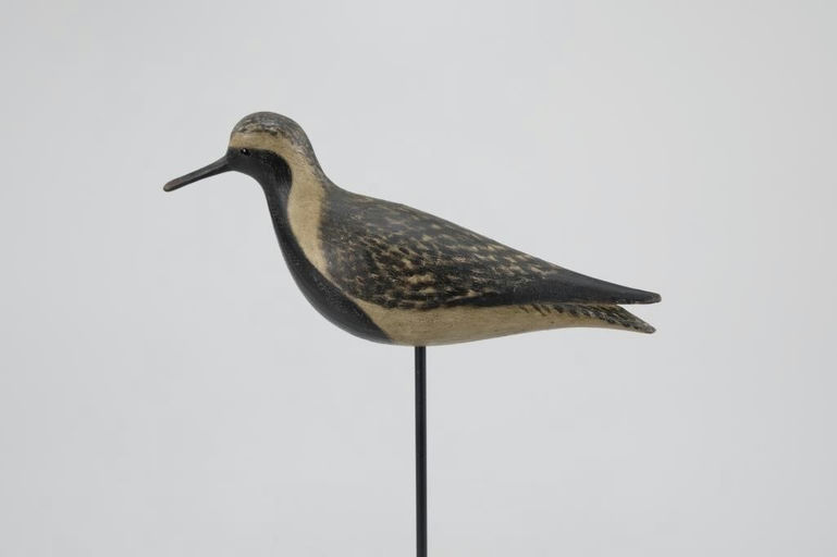 Mark McNair – Black-Bellied Plover – 2026