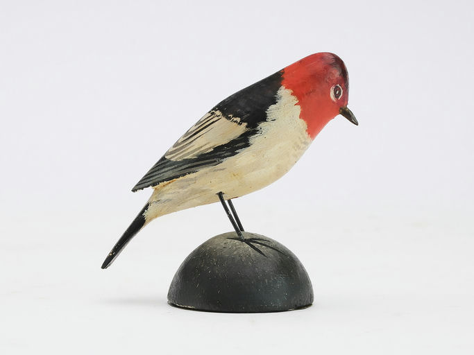 Elmer Crowell – Miniature Red-headed Woodpecker – 2024