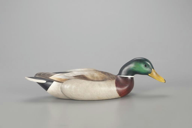 Bob Kerr – Presentation Swimming Mallard – 2022