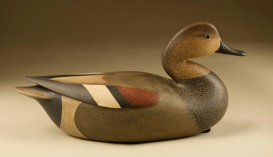 Cameron McIntyre – Gadwall Drake – 2025
