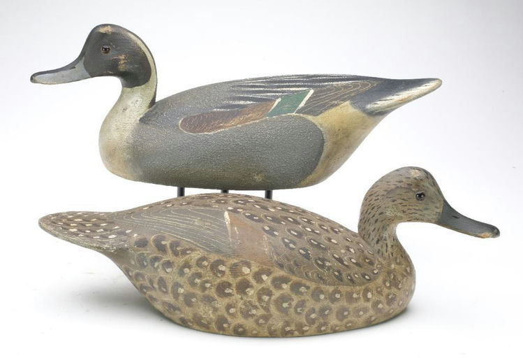 Reggie Birch – Pintail – 2023