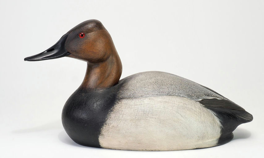 John Zachmann – Competition Canvasback Drake – 2026