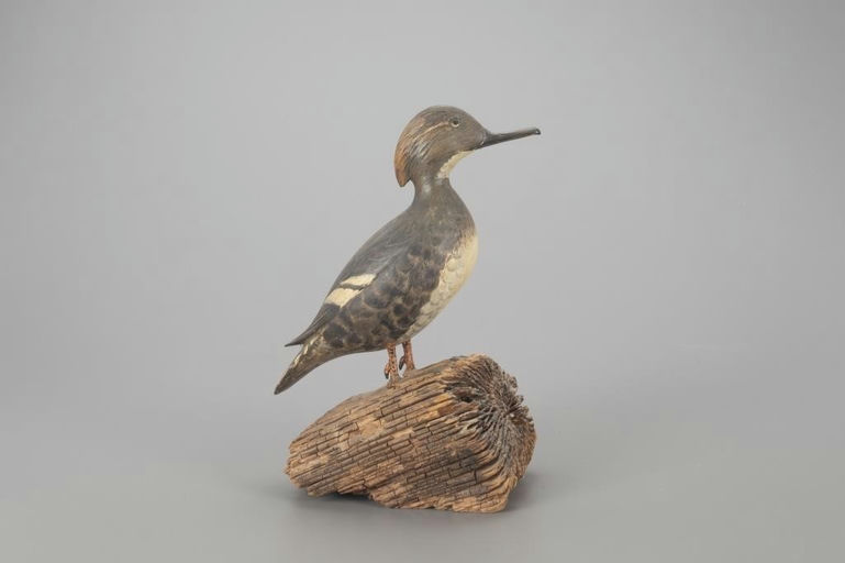 Homer Lawrence – Standing Hooded Merganser – 2022