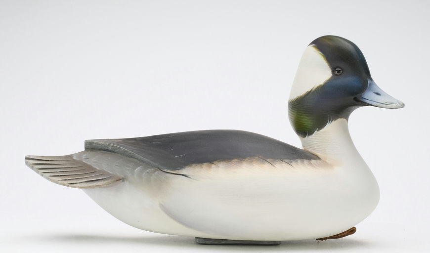 Sean Sutton – Bufflehead – 2024