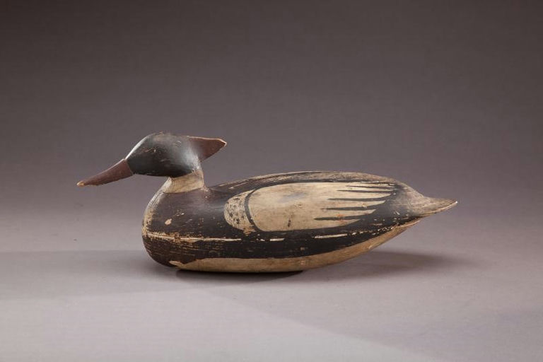 Mark Kears – Outstanding Red-Breasted Merganser Drake – 2012
