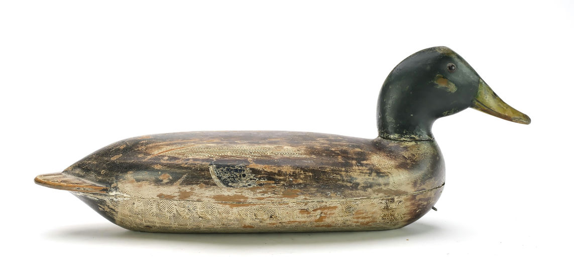 Robert Elliston – Mallard – 2025