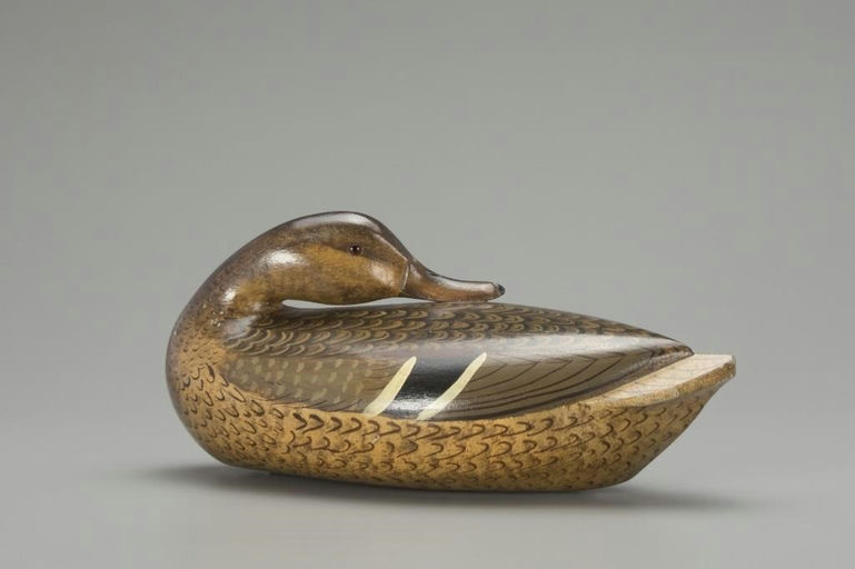 Charles Perdew – The Sutton Rig Preening Mallard – 2018