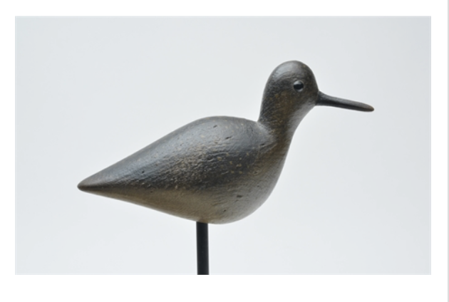 Mark McNair – Red Knot – 2021