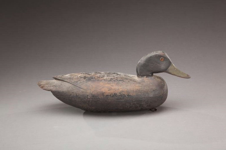 John English – Black Duck – 2012