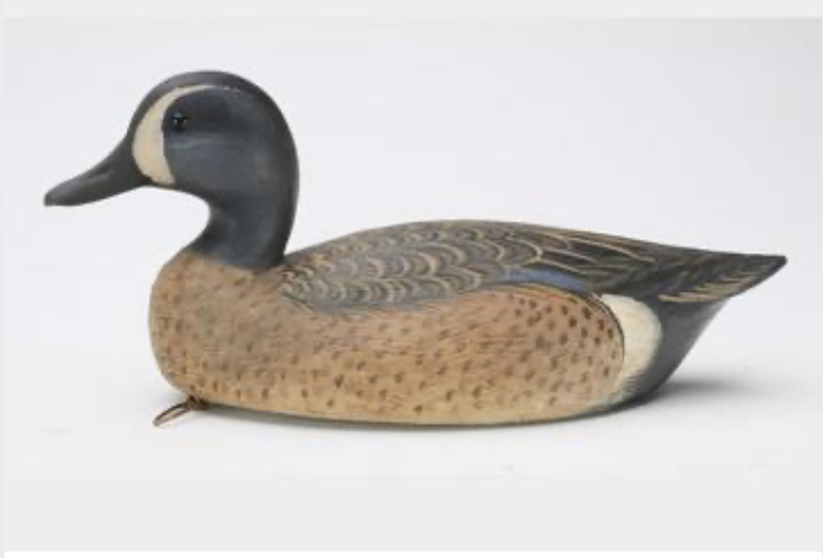 Marty Hanson – Blue-winged Teal