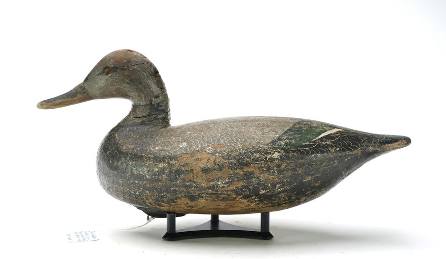 Ira Hudson – Pintail – 2025