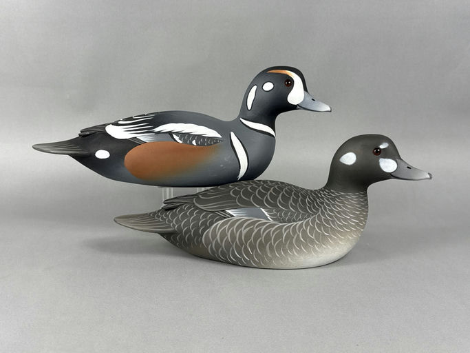 Oliver Lawson – Harlequin Duck – 2026