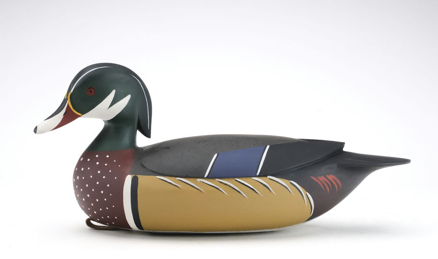 Jamie Hand – Wood Duck – 2024