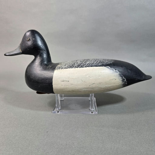 Harry V. Shourds – Scaup – 2026